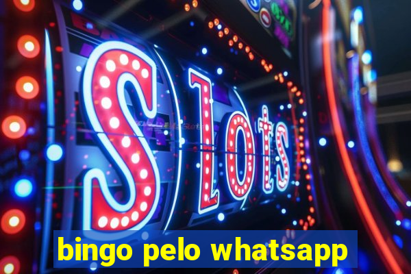 bingo pelo whatsapp